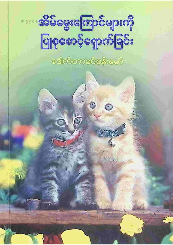 ဒေါက်တာခင်စန်းမော် - အိမ်မွေးကြောင်များကိုပြုစုစောင့်ရှောက်ခြင်း