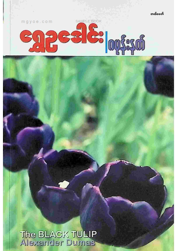 ရွှေဥဒေါင်း - ဂမုန်းနက် (စတုထ္ထကြိမ်)