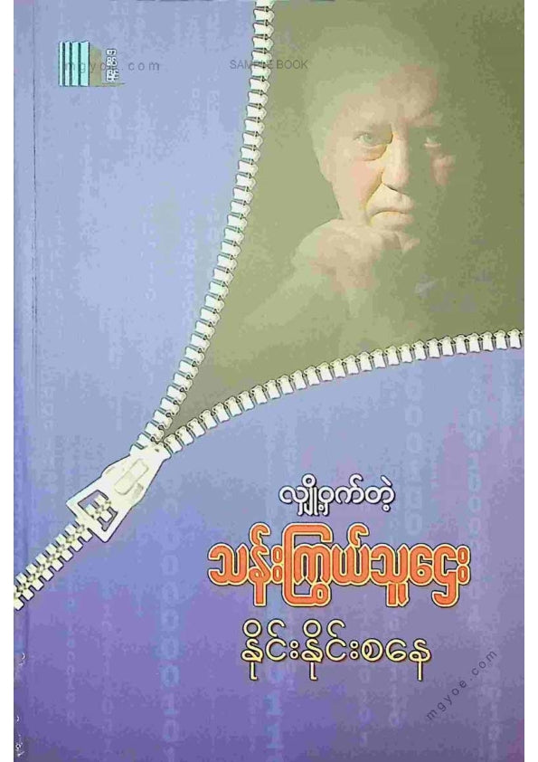 နိုင်းနိုင်းစနေ - လျှို့ဝှက်တဲ့သန်းကြွယ်သူဌေး