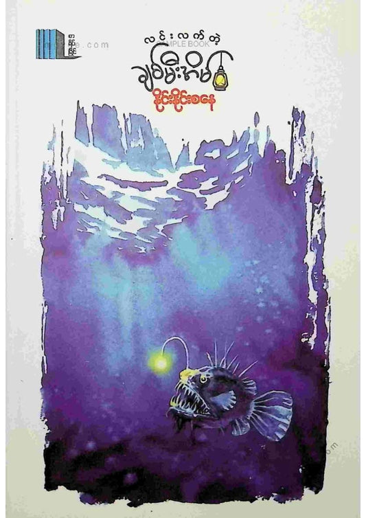 နိုင်းနိုင်းစနေ - လင်းလက်တဲ့ချစ်မီးအိမ်