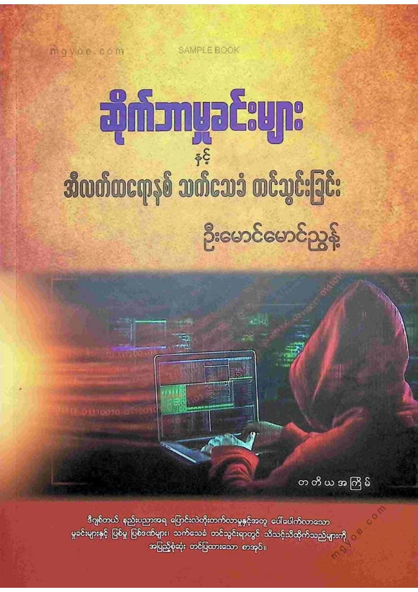ဦးမောင်မောင်ညွန့် - ဆိုက်ဘာမှုခင်းများ