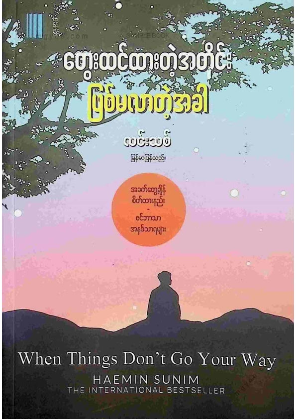 လင်းသစ် - တွေးထင်ထားတဲ့အတိုင်းဖြစ်မလာတဲ့အခါ