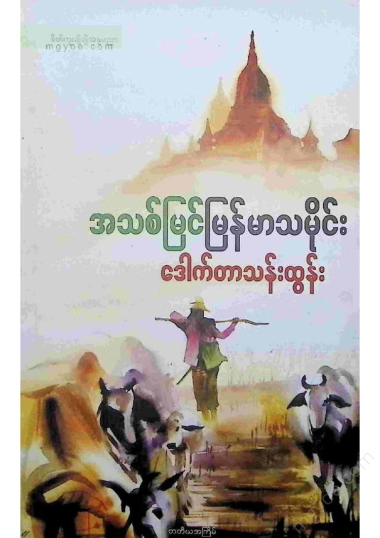 Dr. Than Tun - Newly Discovered Myanmar History