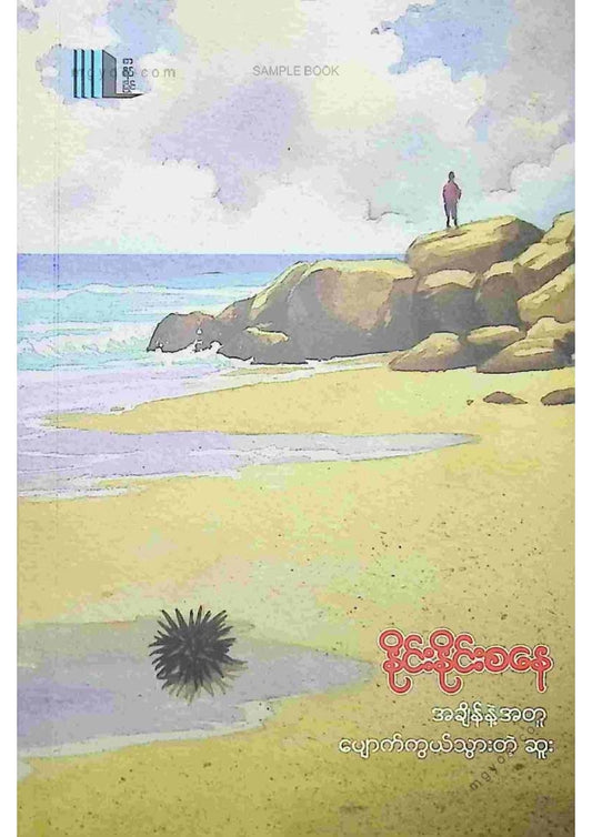 နိုင်းနိုင်းစနေ - အချိန်နဲ့အတူပျောက်ကွယ်သွာတဲ့ဆူး