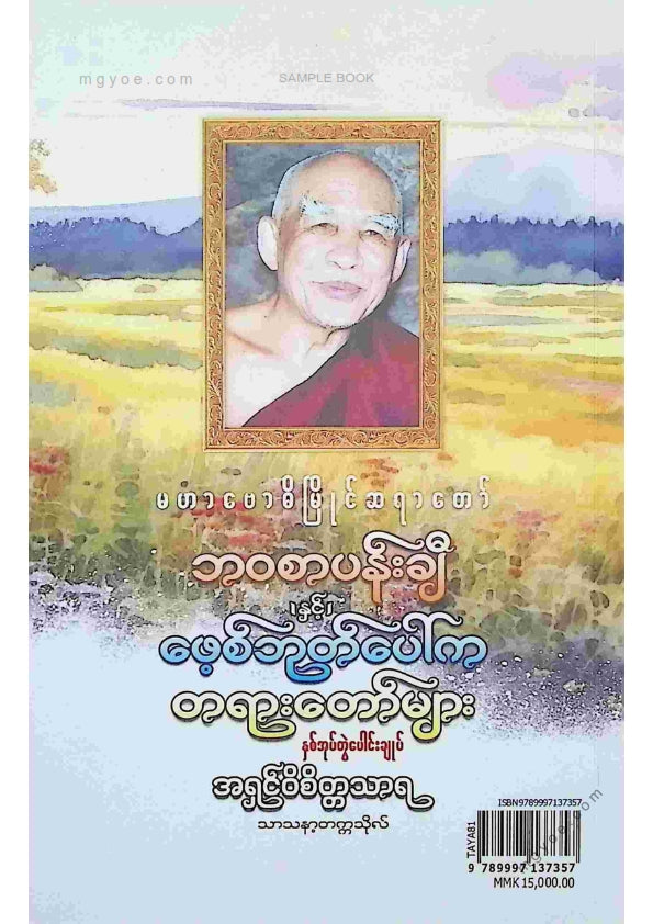 အရှင်ဝိစိတ္တသာရ - မဟာဗောဓိမြိုင်ဆရာတော်ဘဝစာပန်းချီနှင့်ဖေ့စ်ဘုတ်ပေါ်ကတရာတော်များ
