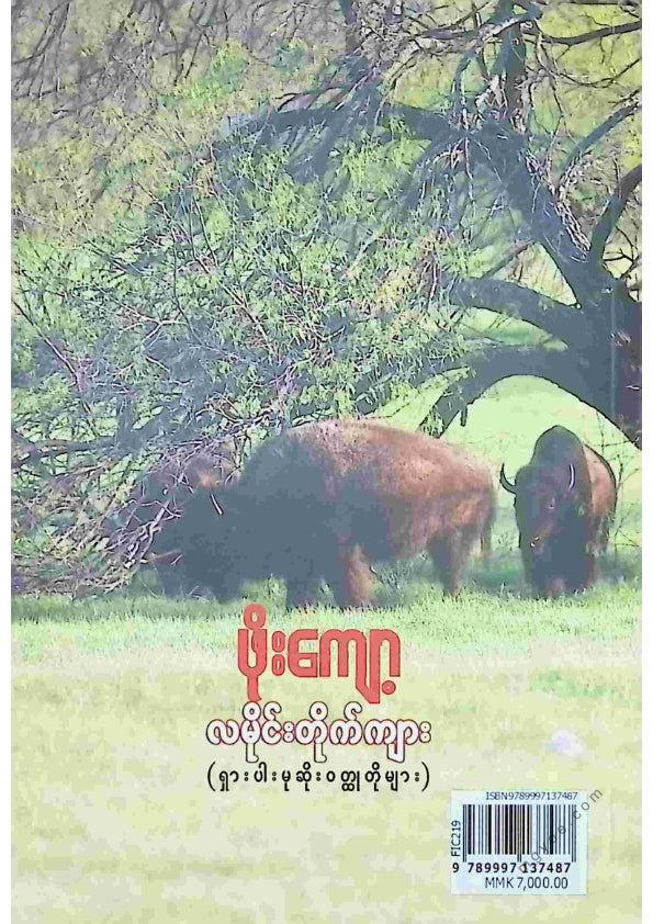 ဖိုးကျော့ - လမိုင်းတိုက်ကျား