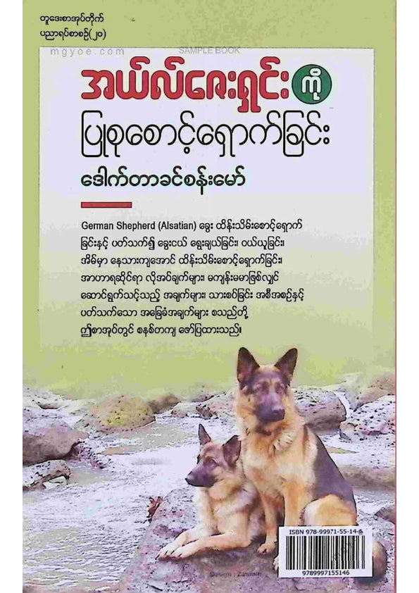 ဒေါက်တာခင်စန်းမော် - အယ်လ်ဇေးရှင်းကိုပြုစုစောင့်ရှောက်ခြင်း