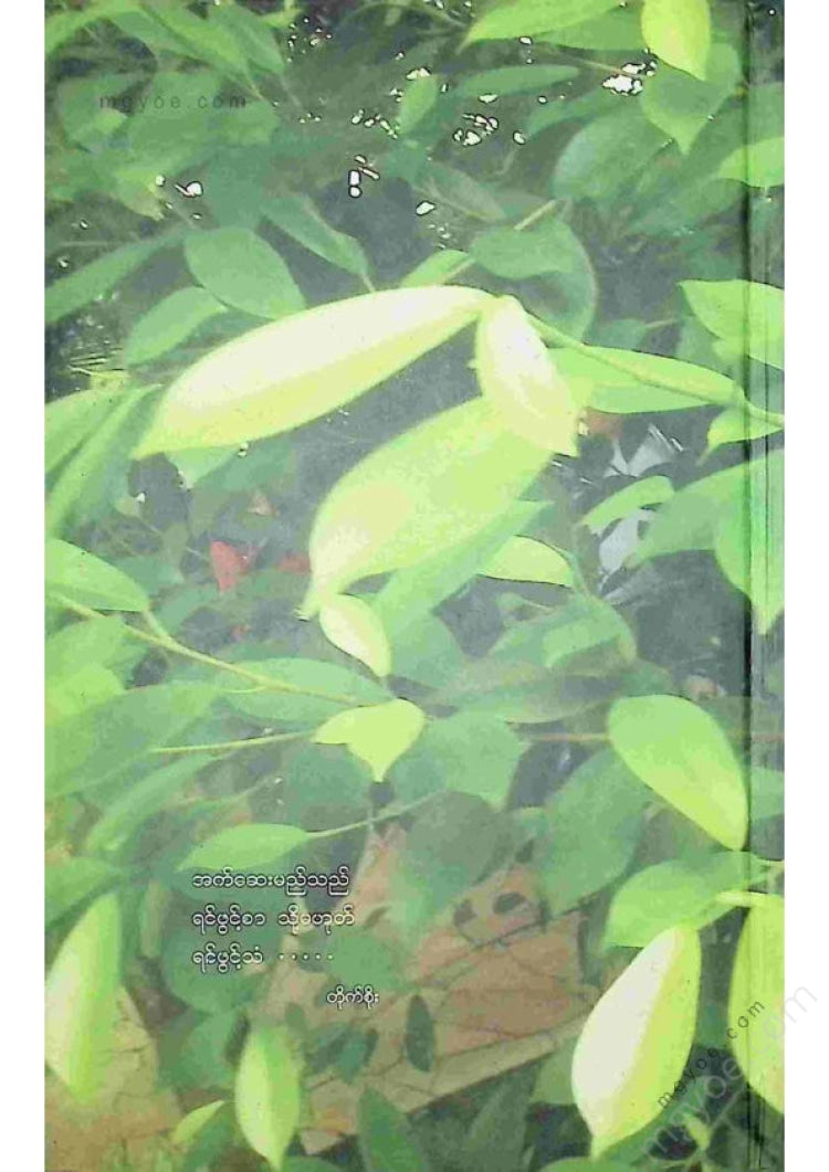 Complete set of pens - Myanmar essays 101