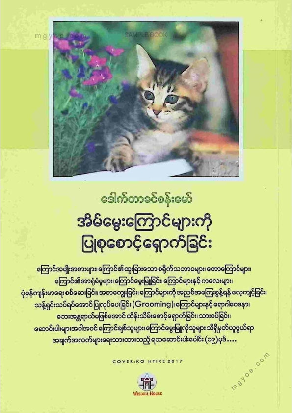 ဒေါက်တာခင်စန်းမော် - အိမ်မွေးကြောင်များကိုပြုစုစောင့်ရှောက်ခြင်း