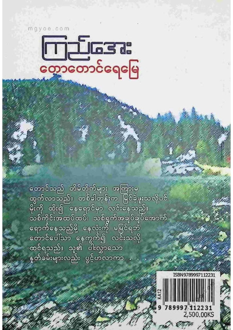 Kyi Aye - Forest, Mountains, Water, Land