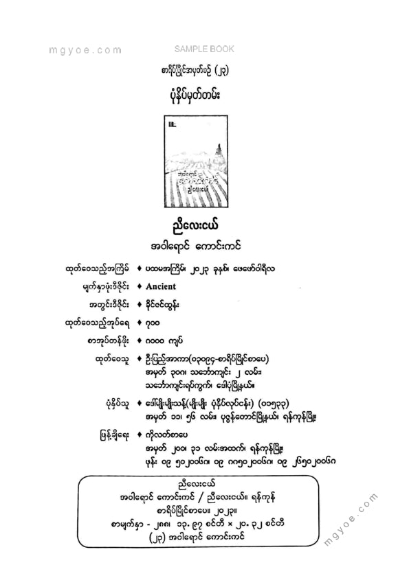 ညီလေးငယ် - အဝါရောင်ကောင်းကင်
