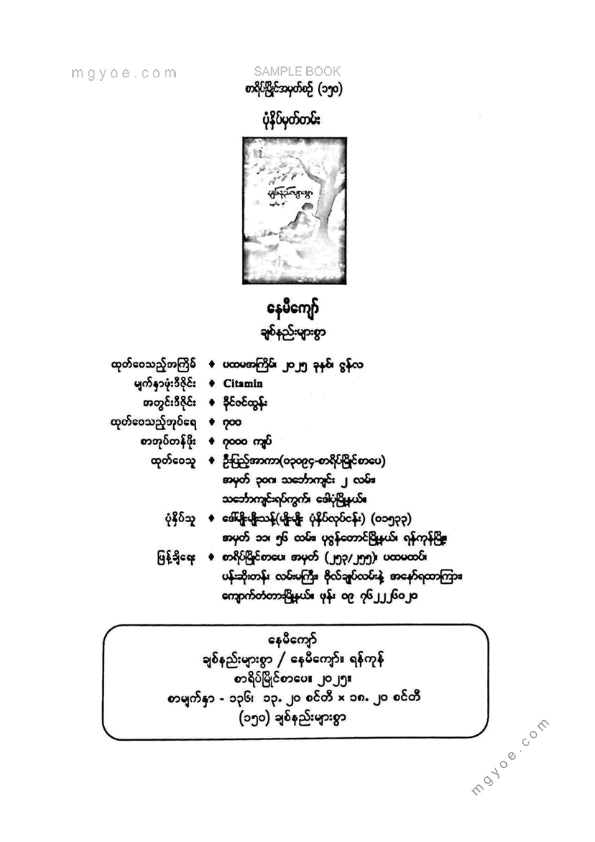 နေမီကျော် - ချစ်နည်းများစွာ