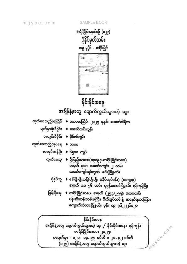 နိုင်းနိုင်းစနေ - အချိန်နဲ့အတူပျောက်ကွယ်သွာတဲ့ဆူး
