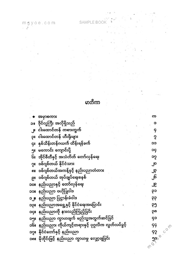တင်ညွန့် - ဒစ်ဂျစ်တယ်တော်လှန်ရေးနှင့်အိုင်စီတီပြုပြင်ပြောင်းလဲရေး