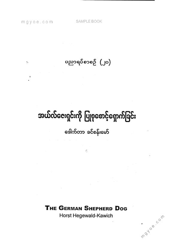 ဒေါက်တာခင်စန်းမော် - အယ်လ်ဇေးရှင်းကိုပြုစုစောင့်ရှောက်ခြင်း
