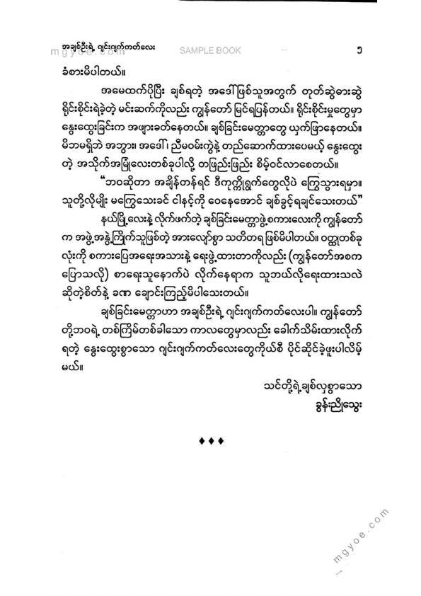မယ်စု - အချစ်ဦးရဲ့ဂျင်းဂျက်ကက်လေး