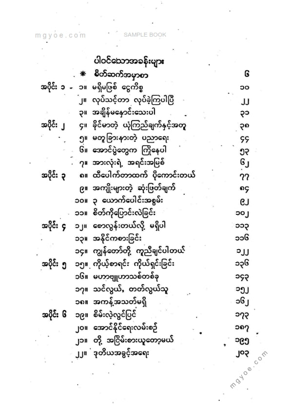 ညီညီနိုင် - အောင်မြင်သူတို့ဇတ်လမ်းများ