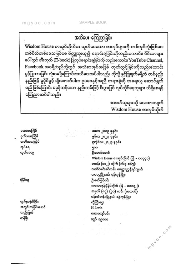 ဦးမောင်မောင်ညွန့် - ဆိုက်ဘာမှုခင်းများ