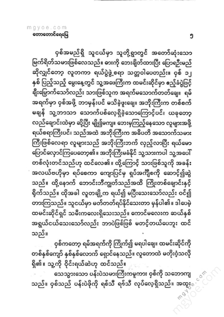 Kyi Aye - Forest, Mountains, Water, Land