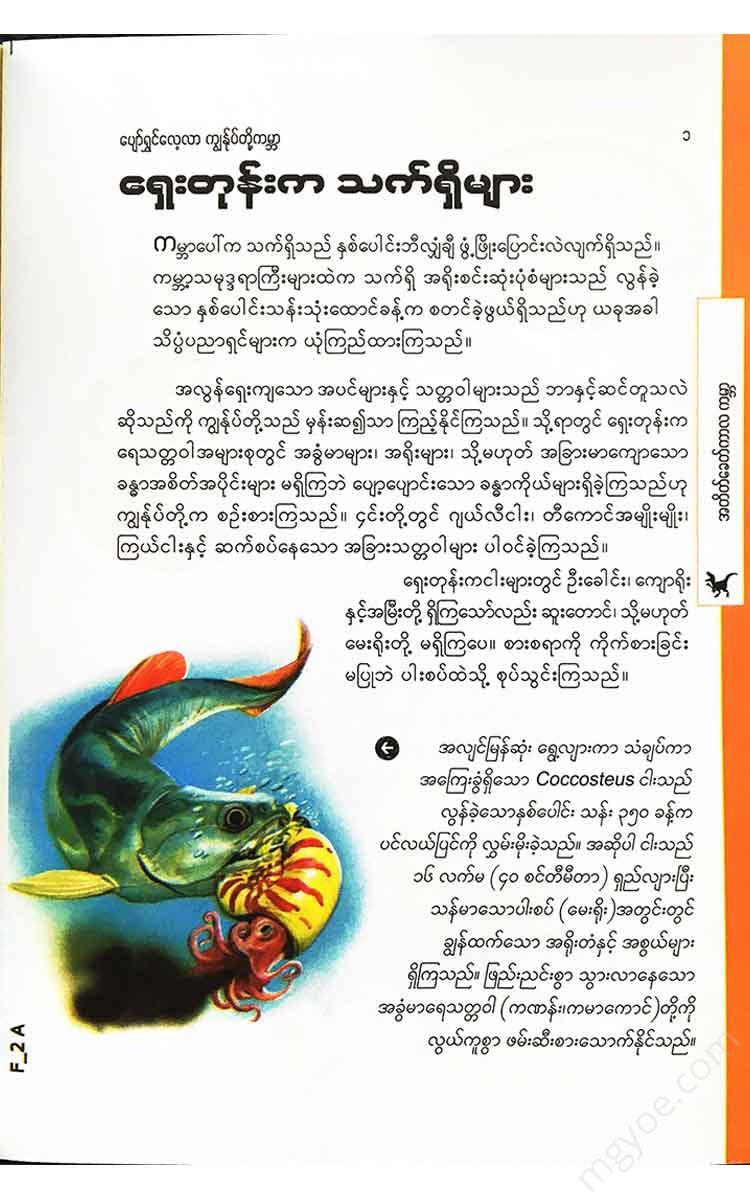 - () Books