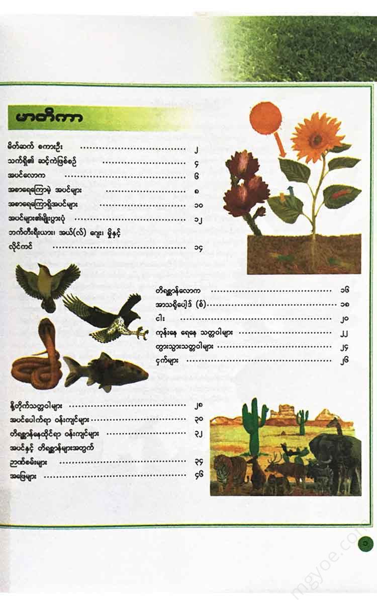 () - (Plants And Animal) Books