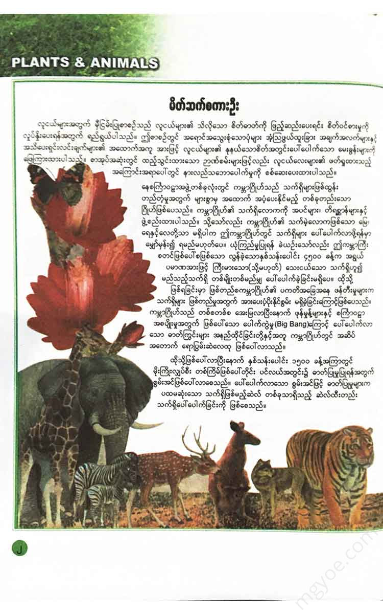 () - (Plants And Animal) Books