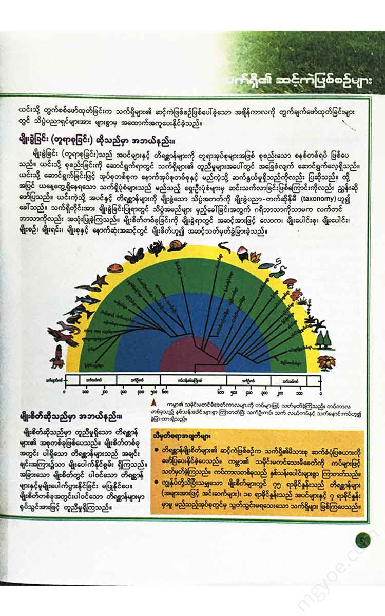 () - (Plants And Animal) Books