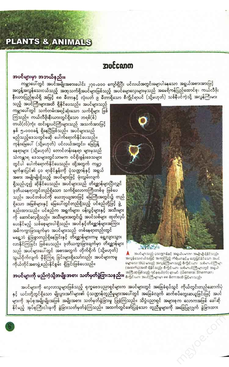 () - (Plants And Animal) Books