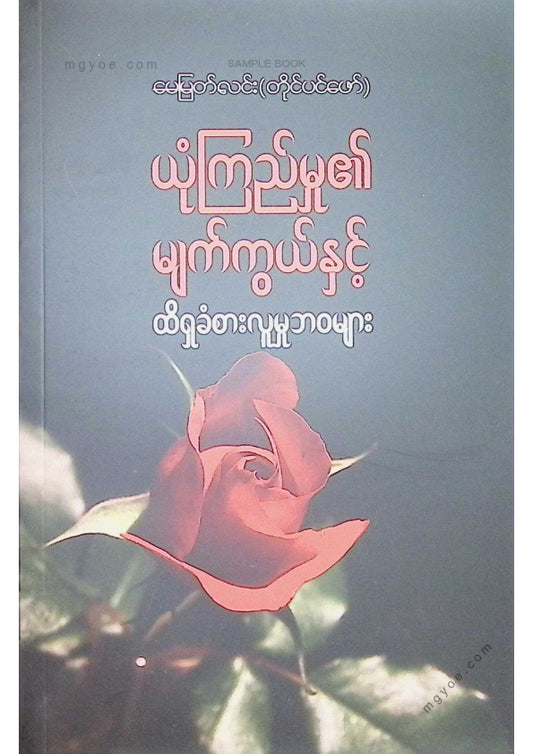 မေမြတ်လင်း - ယုံကြည်မှု၏မျက်ကွယ်နှင့်ထိရှခံစားလူမှုဘဝများ