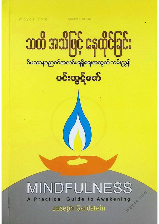 ဝင်းထွဋ်ဇော် - သတိအသိဖြင့်နေထိုင်ခြင်း