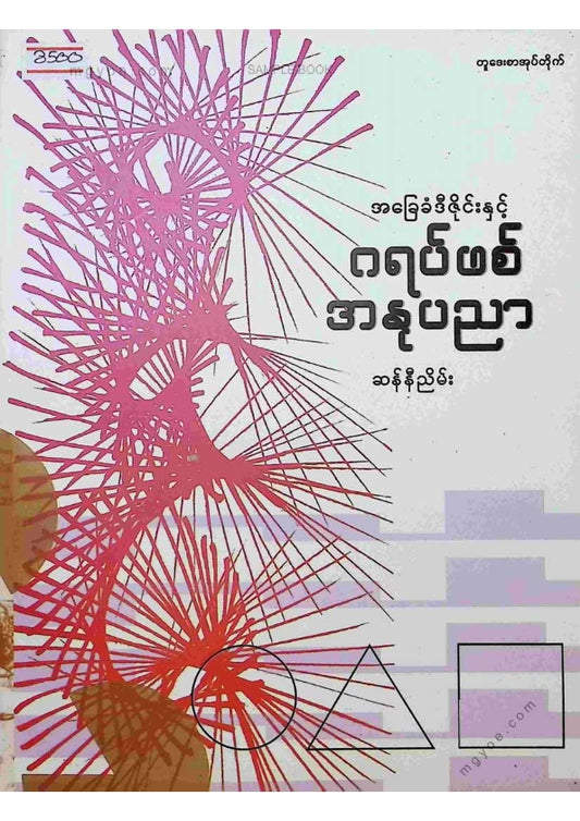 ဆန်နီညိမ်း - ဂရပ်ဖစ်အနုပညာ