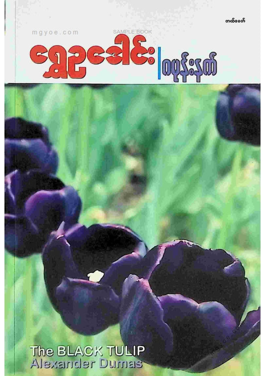 ရွှေဥဒေါင်း - ဂမုန်းနက် (စတုထ္ထကြိမ်)