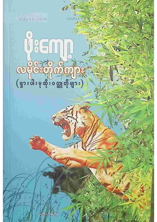 ဖိုးကျော့ - လမိုင်းတိုက်ကျား