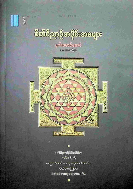 နဂါးမောင်မောင် - စိတ်ဝိညာဥ်အပိုင်းအစများ