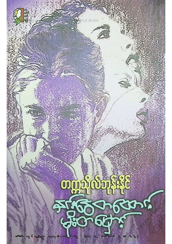 တက္ကသိုလ်ဘုန်းနိုင် - နှင်းငွေ့တထောင့်မိုးတမှောင့်