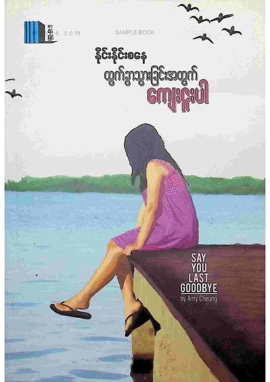 နိုင်းနိုင်းစနေ - ထွက်သွားခြင်းအတွက်ကျေးဇူးပါ