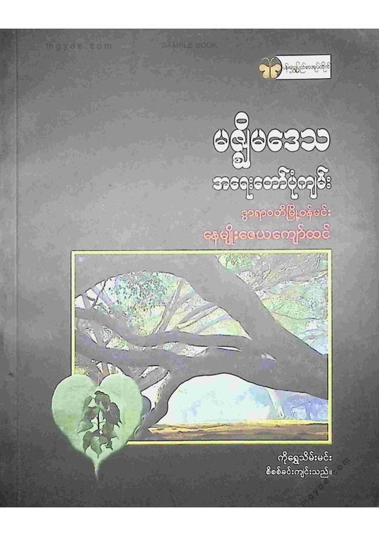 နေမျိုးဇေယျကျော်ထင် - မဇ္ဇျိမဒေသအရေးတော်ပုံကျမ်း