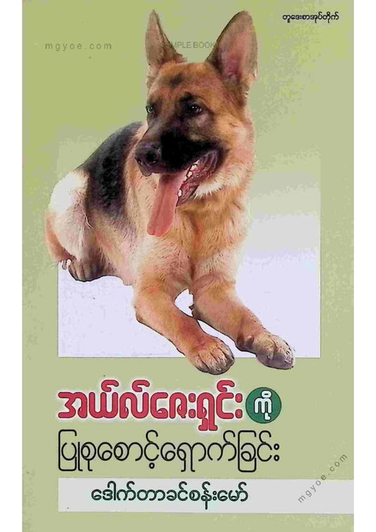 ဒေါက်တာခင်စန်းမော် - အယ်လ်ဇေးရှင်းကိုပြုစုစောင့်ရှောက်ခြင်း