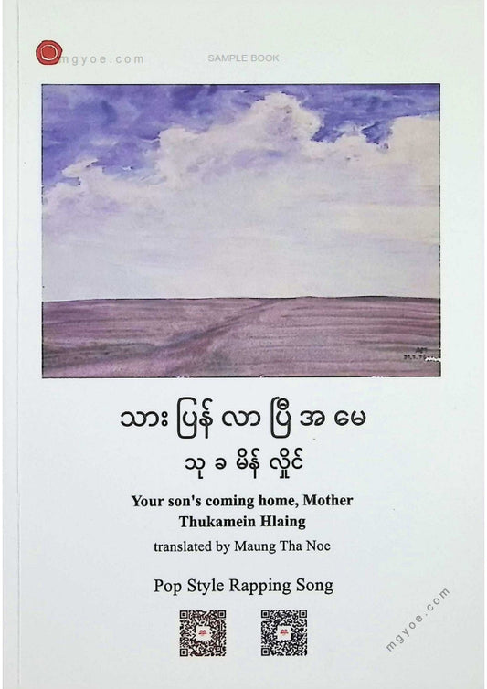 သုခမိန်လှိုင် - သားပြန်လာပြီအမေ