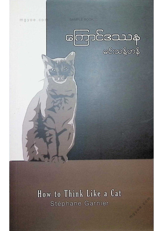 မင်းသန့်ဟန် - ကြောင်ဒဿန