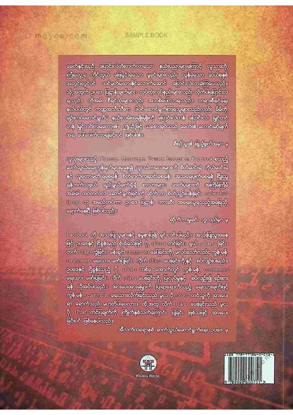 ဦးမောင်မောင်ညွန့် - ဆိုက်ဘာမှုခင်းများ