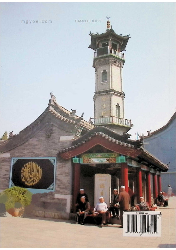 မောင်မြတ်မိုး - ဝီဂါ