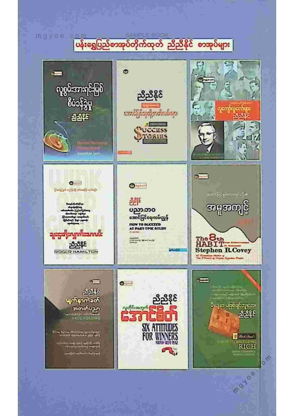 ညီညီနိုင် - ပြိုင်ပွဲဝင်စီးပွားရေးသမား