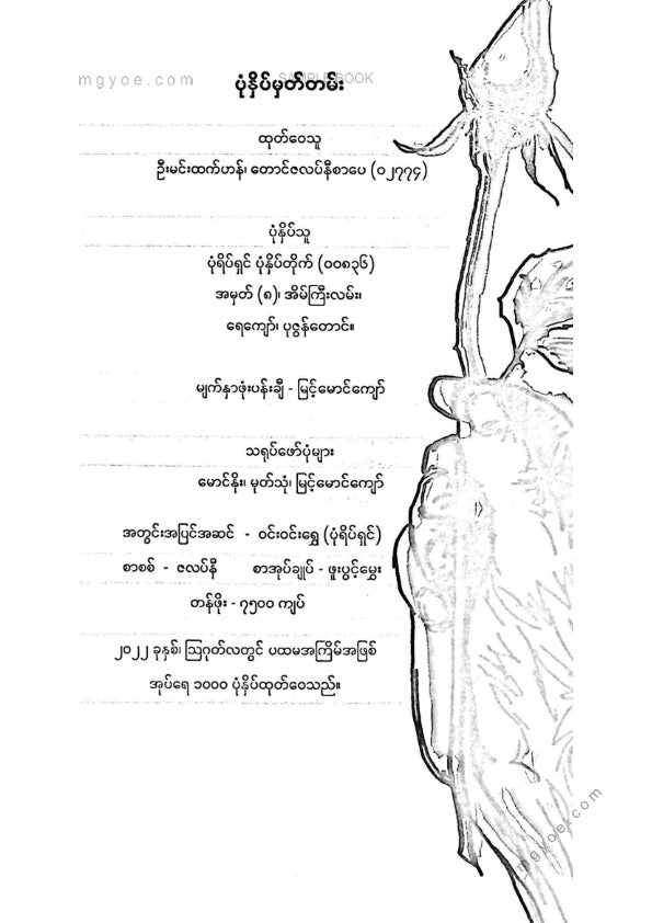 စမ်းစမ်းနွဲ့(သာယာဝတီ) - နှင်းဆီကြေးမုံ မဂ္ဂဇင်းဝထ္ထုရှည်များ