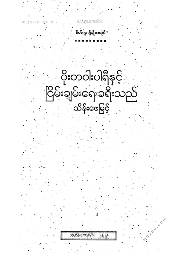 သိန်းဖေမြင့် - ဝိုးတဝါးပါရီနှင့်ငြိမ်းချမ်းရေးခရီးသည်