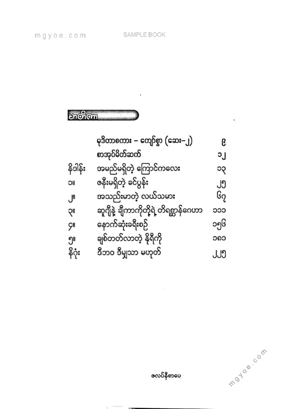 မျိုးဇော်ဝင်း - ကြောင်တေလေရဲ့ခရီးသွားမှတ်တမ်း