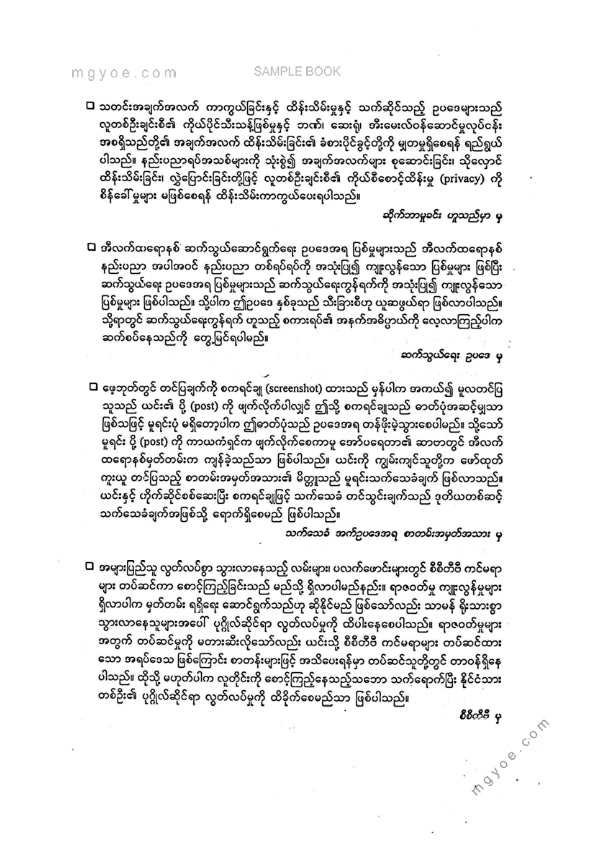 ဦးမောင်မောင်ညွန့် - ဆိုက်ဘာမှုခင်းများ