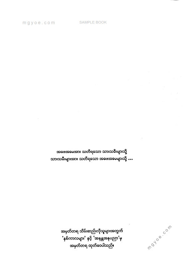 သုခမိန်လှိုင် - သားပြန်လာပြီအမေ