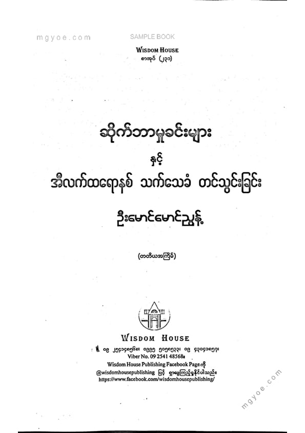 ဦးမောင်မောင်ညွန့် - ဆိုက်ဘာမှုခင်းများ