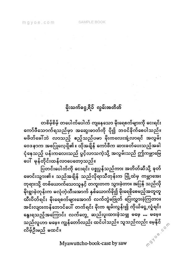 စေပိုင်ထွဋ်၊ ဝတ်ရည်နန္ဒာ၊ ခေတ်ဦးနွေ - မိုးစက်ပွင့်တို့ဒိုင်ယာရီ